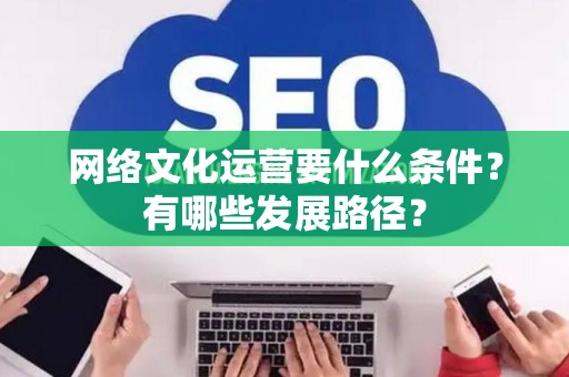 网络文化运营要什么条件？有哪些发展路径？